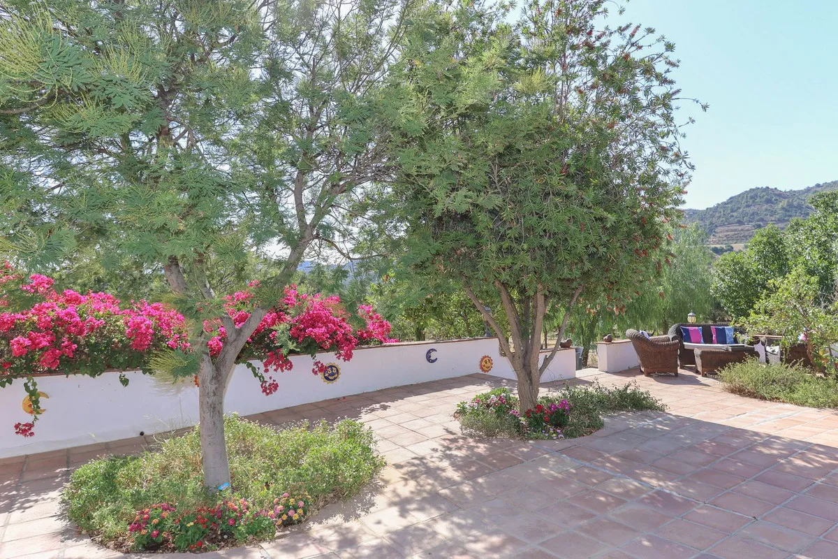 2e9c3b43-a5a9-45f2-9961-cbe66bc5df0a