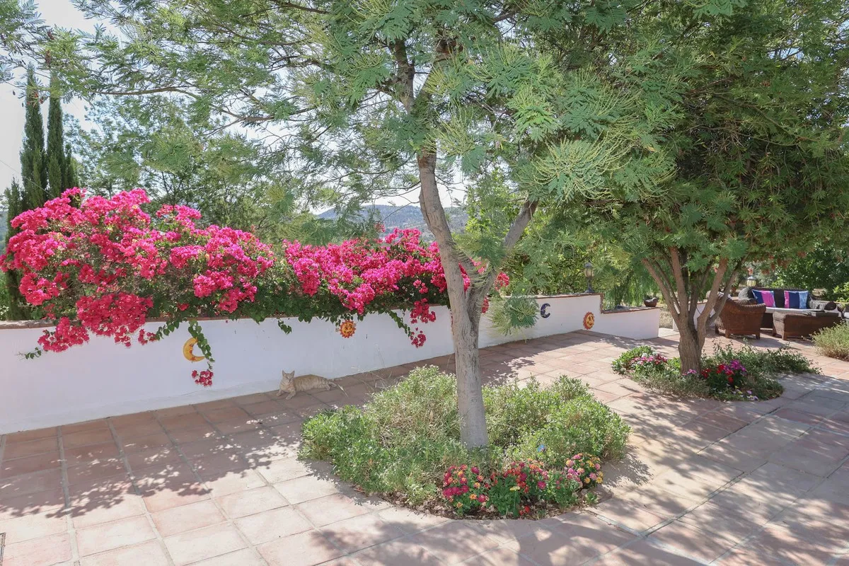 9c8a056b-c35c-40fa-acbb-522be8c14b44