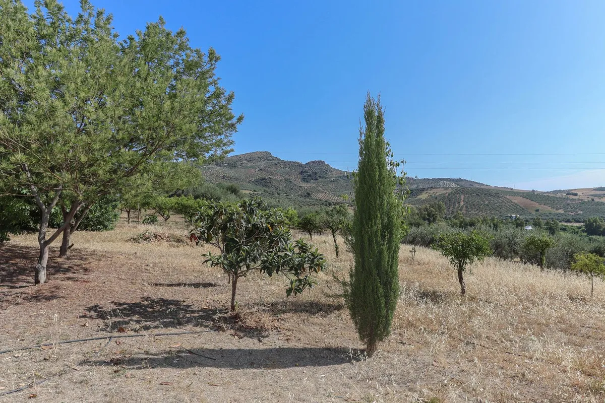 c23a3aa8-3c60-448b-9298-5c5d456224b7