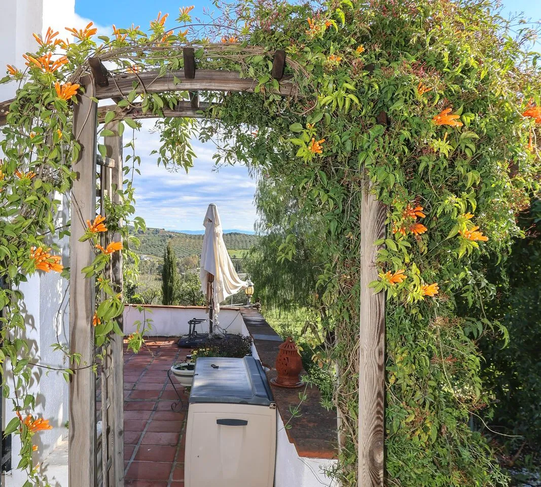 d7122643-379f-486b-b70b-3bc52cec9416