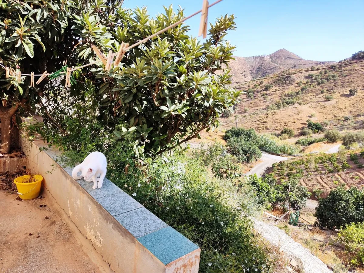 a79cd471-13ff-4ca6-96b7-fa7c4ab0d729