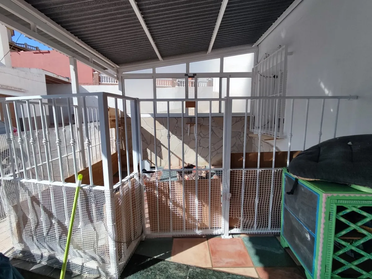 d015590c-31a0-4a1a-aa53-7411ce88f4f0