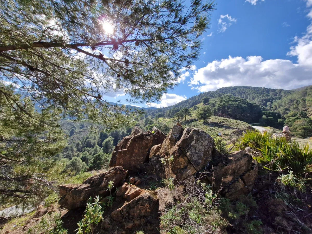 511edfb0-bb8b-44dc-b2ea-822877ed3b71