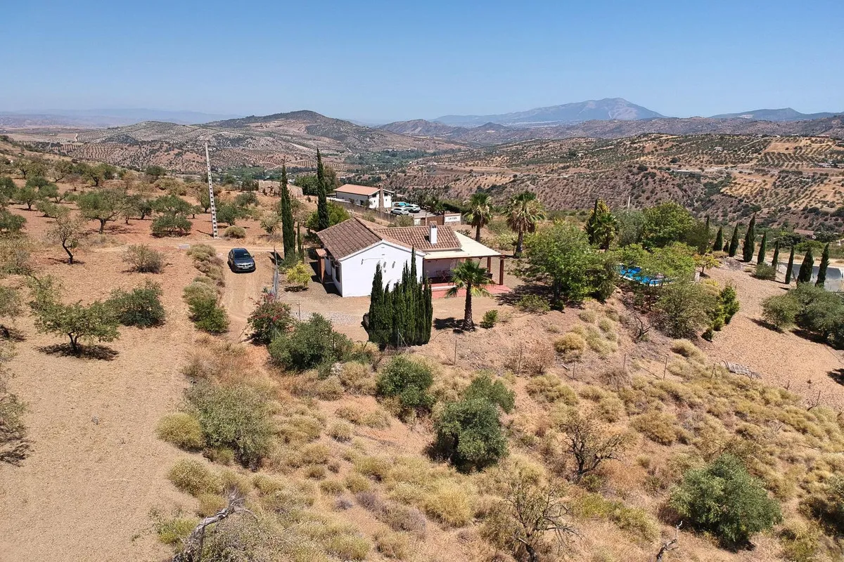 a4e8a0c2-bb8e-4d71-8112-8dbe08615c67