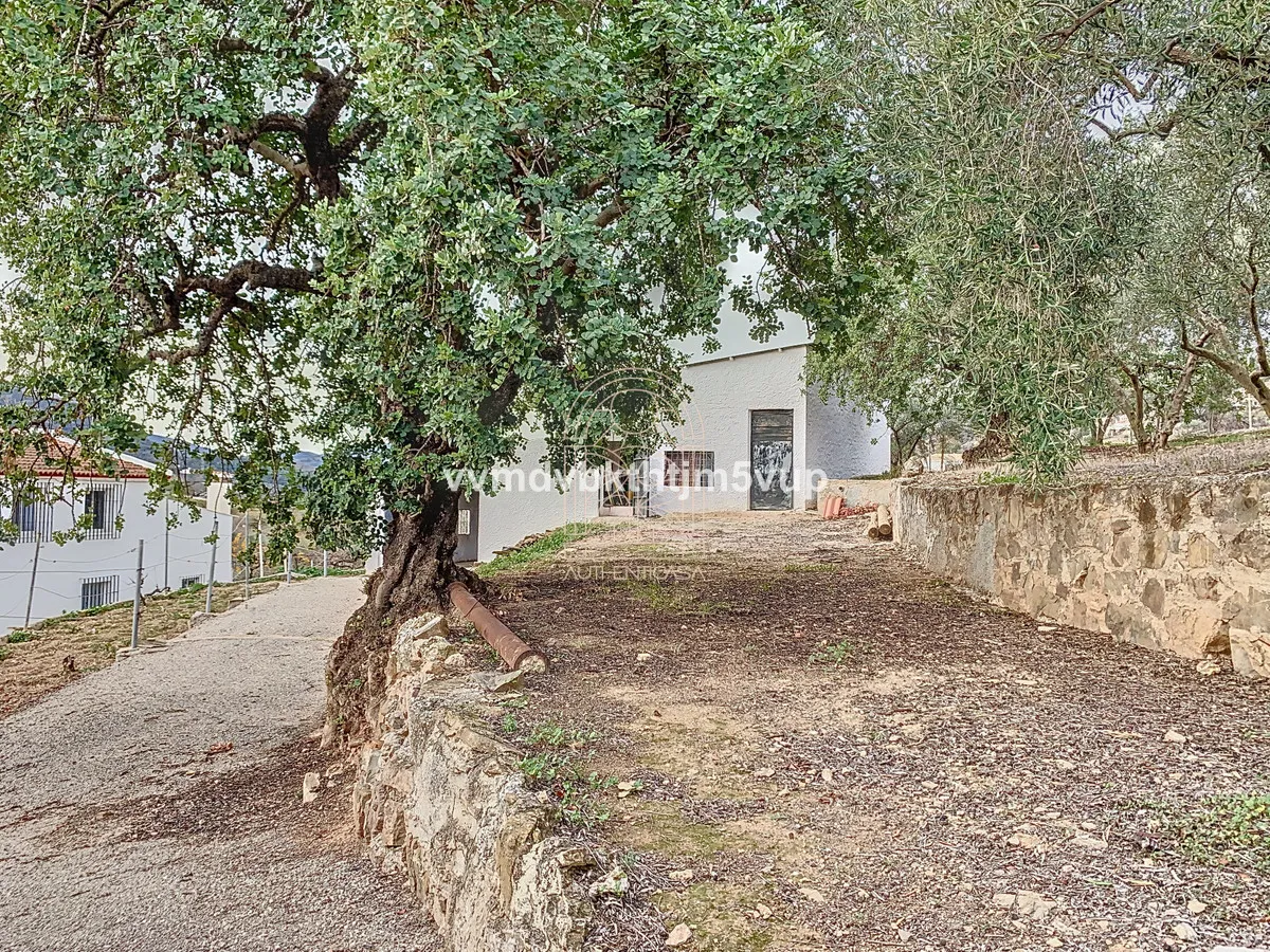 2080d985-55fc-4b81-b245-109c1d5f4dcd