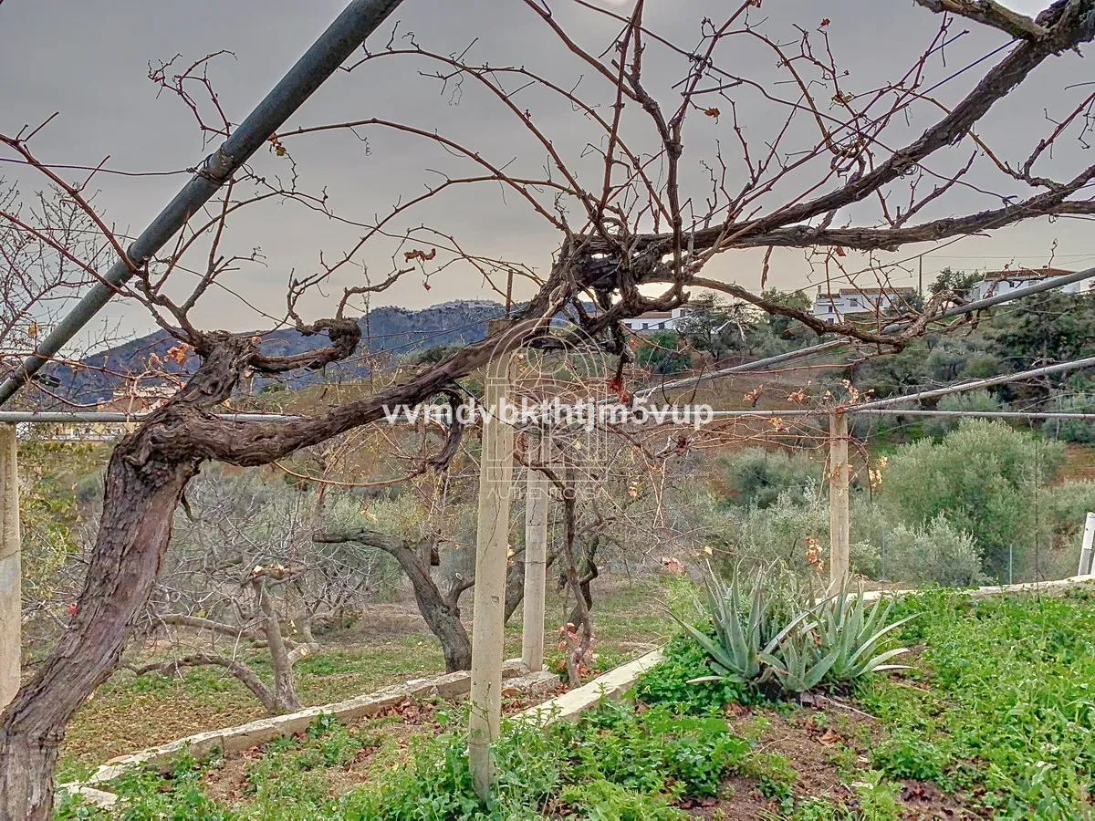 56a47128-847c-4ed4-bd8b-74d4ddb691db