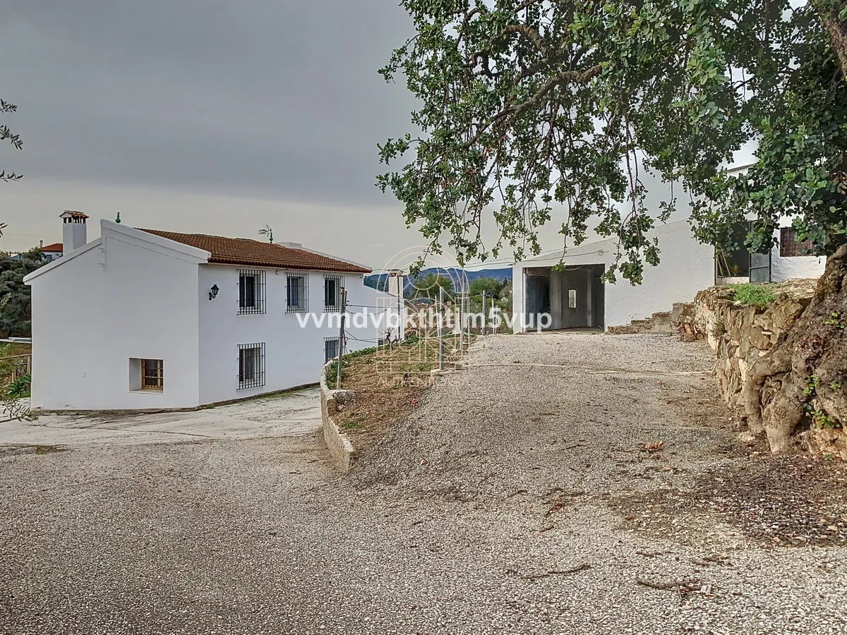 84ed83f2-3f8d-4583-bef8-474a9c65fa0b