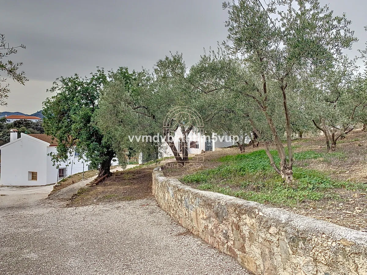 9bd2e2c9-192f-4971-8b31-e5de3f9e044b