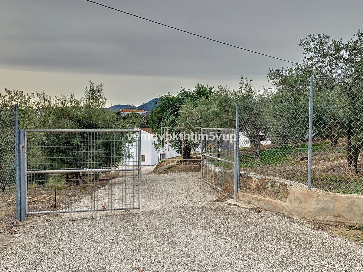 af5e46cc-315c-4a32-abec-d0bfe0db22c0