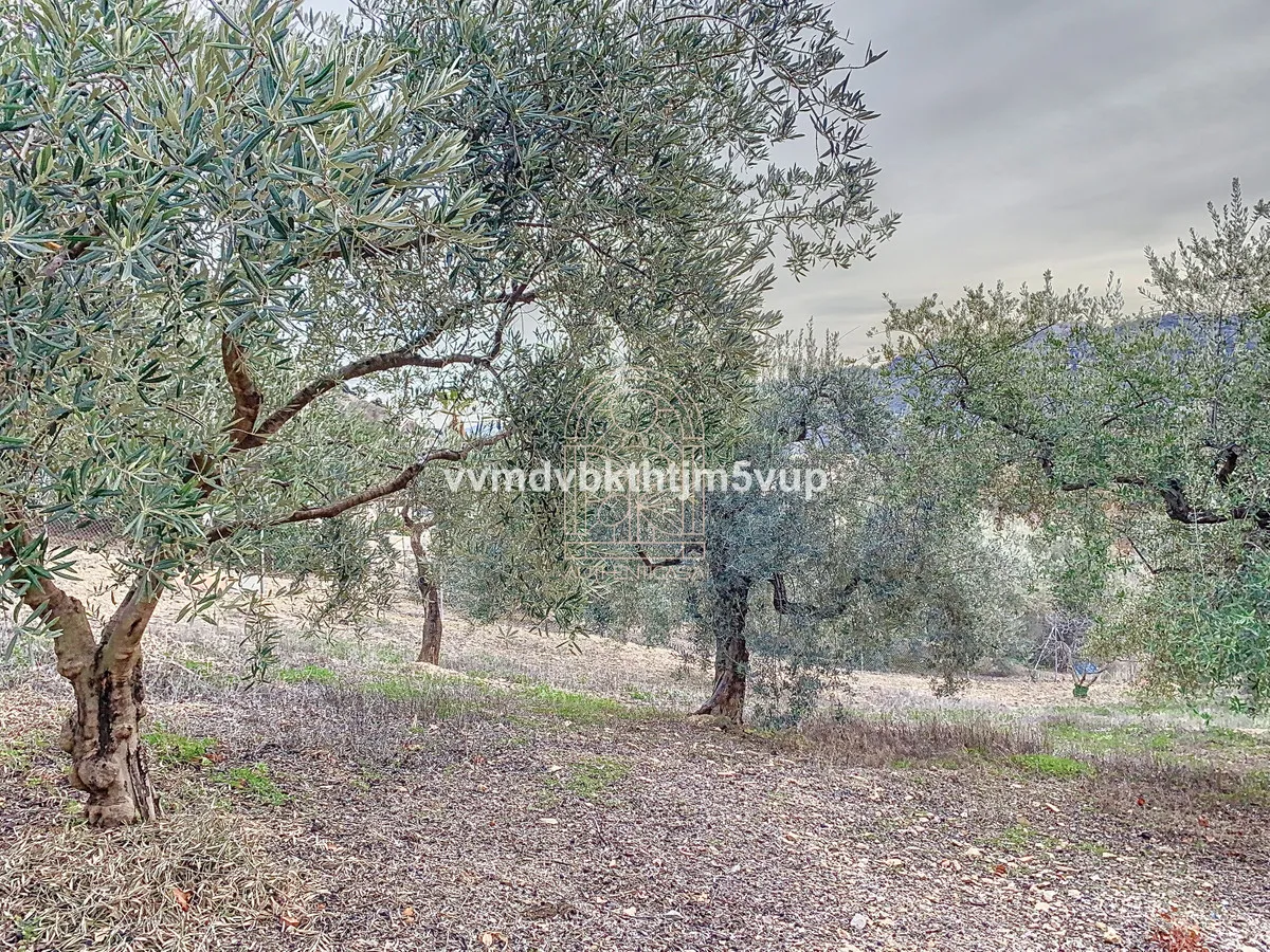 eccc9b56-e122-4ecd-8334-53fc5f0628e9