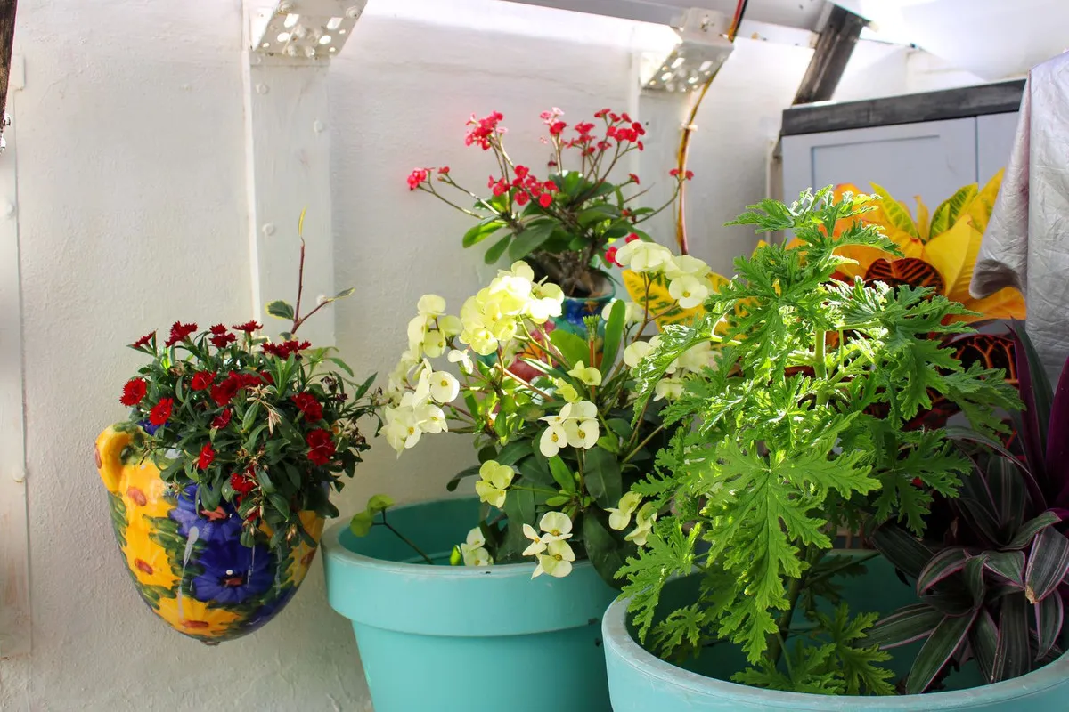 d0a98667-9b58-42b0-969c-fe6ec2936169