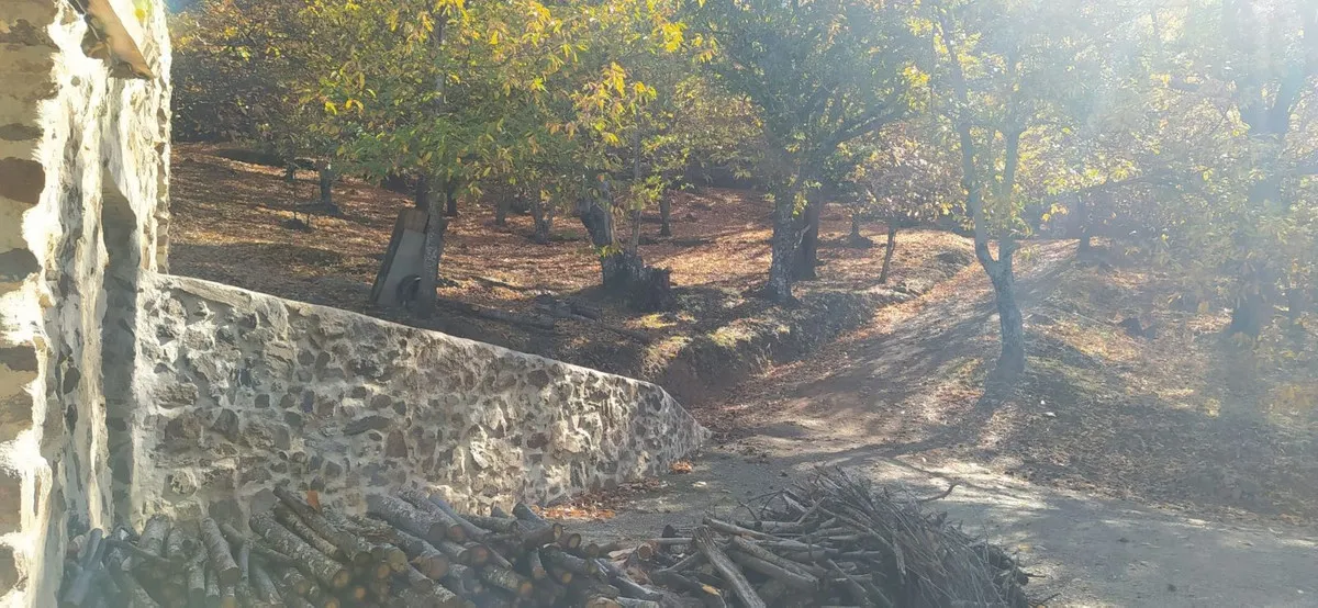 14d6f0ba-0083-4319-8575-4aa5e86333af