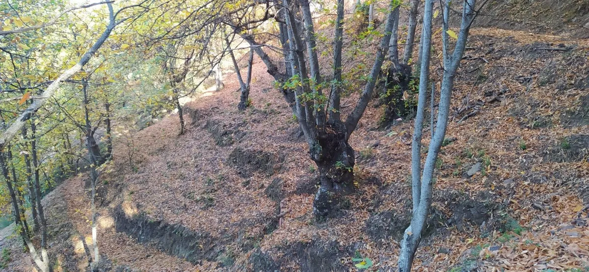 274043b4-b3d9-4a29-b697-ebb4f25cc550