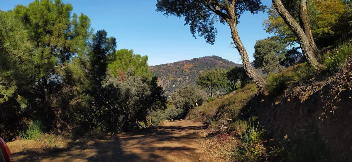 52c4970c-3f9b-4ffc-8487-ad932c5ab2f3