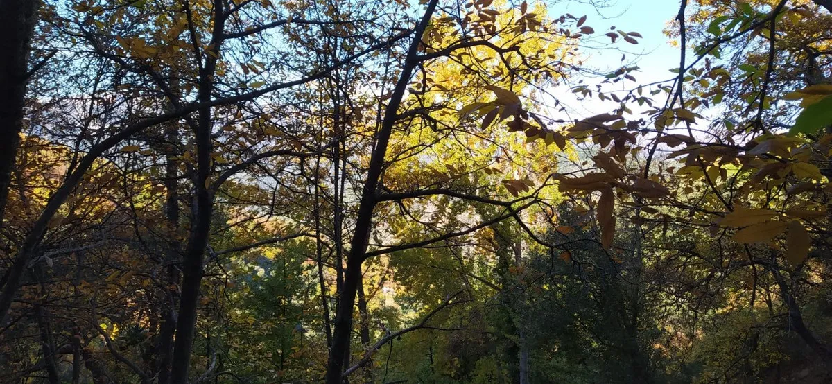 597661de-9155-4772-b983-76a794f8eda5