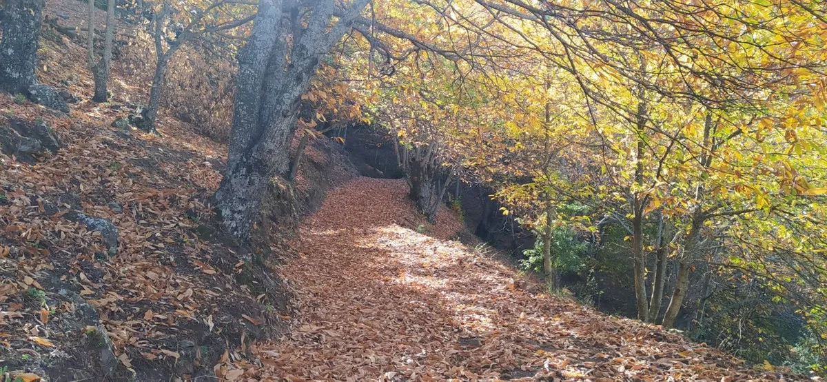 6f86fdf2-e740-4fe3-aa46-b90e12158e44