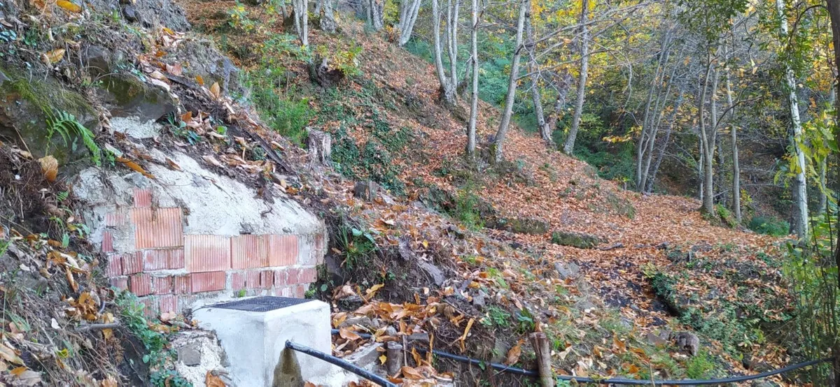 7fdc788d-2c0f-44d0-80a0-b2bf320e4d24