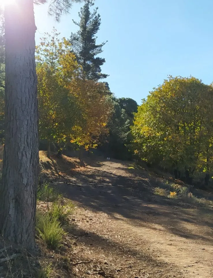 87fa1b79-e8fb-41c0-b02d-12af43c06024