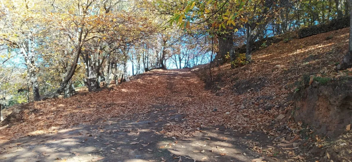 d5c4974e-a574-4086-be28-e4411ece14aa