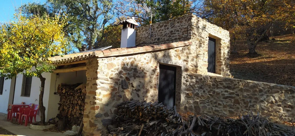 e6a4901f-a7d4-4481-a6a2-aedf5cc8b4b8