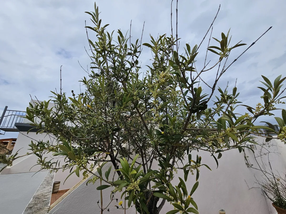 8c482ea2-1df2-4532-95d5-174b7b0a3eb4