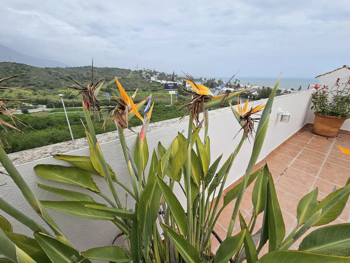 aa5cf870-297f-45f1-ba6a-0869789d80a5