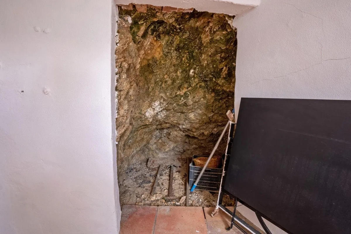 24d4ceb8-ca2b-4e80-ace2-1992428c41f5