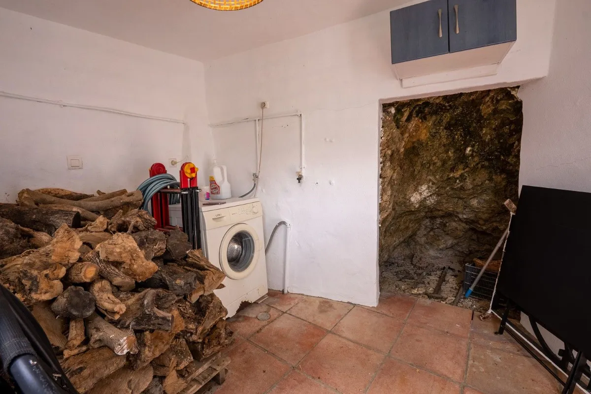 8e9d4782-ae73-4c0d-86b9-ce5378a4ff8b