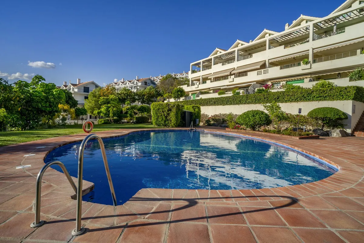 21c85776-e7e1-41c1-92d5-0ec923895838