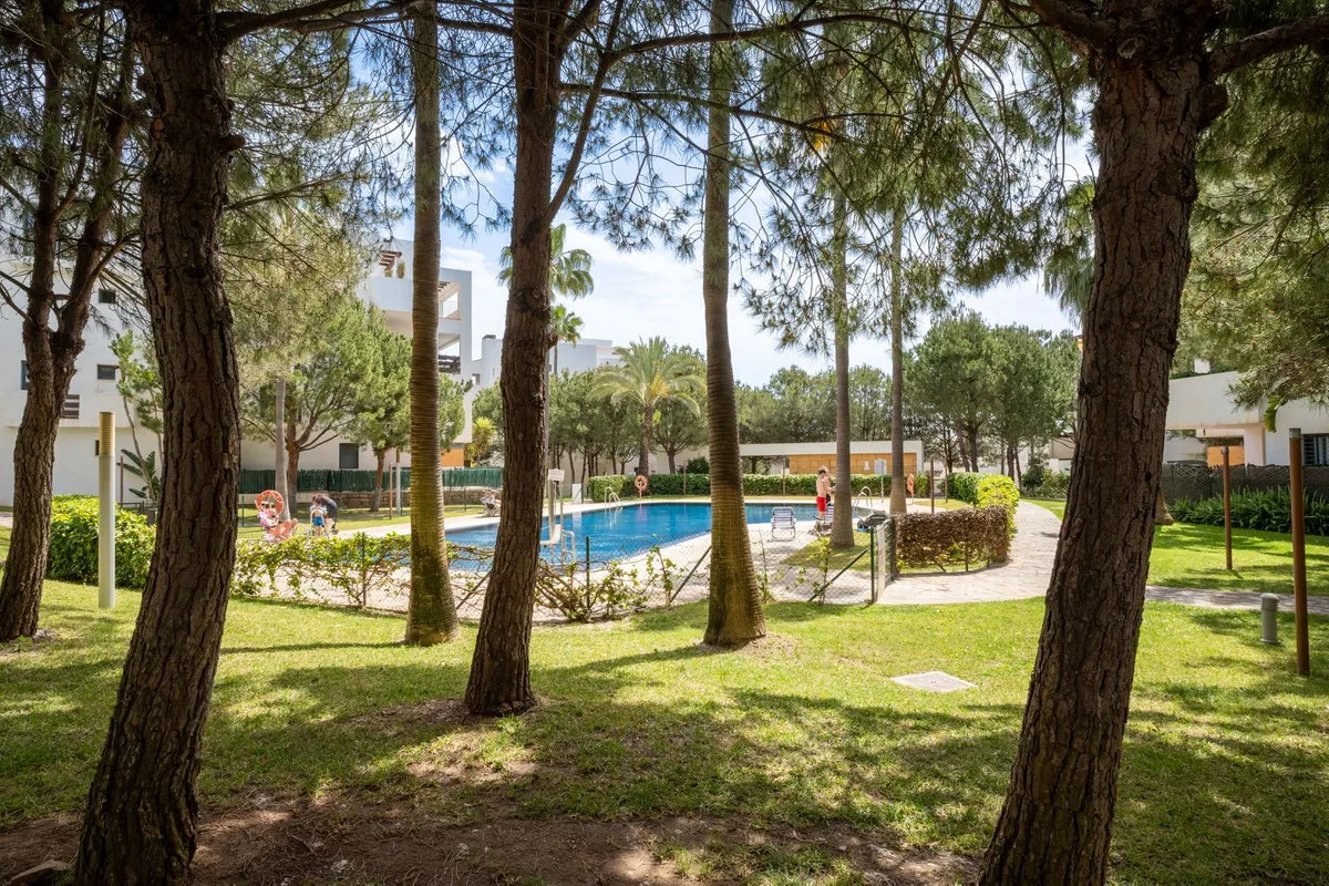 e69790fa-18ae-4cca-a978-b0f172b20cd0