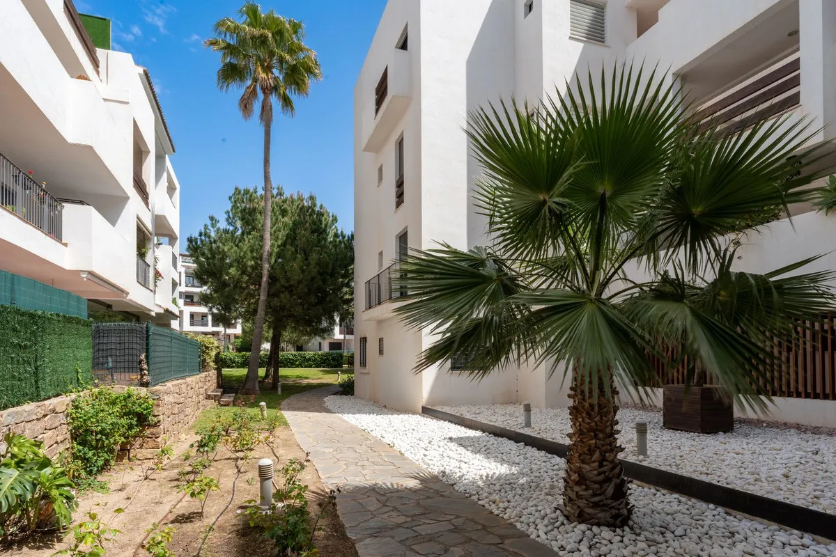 66dca8d5-0c84-42fe-9bac-9382e344ed83