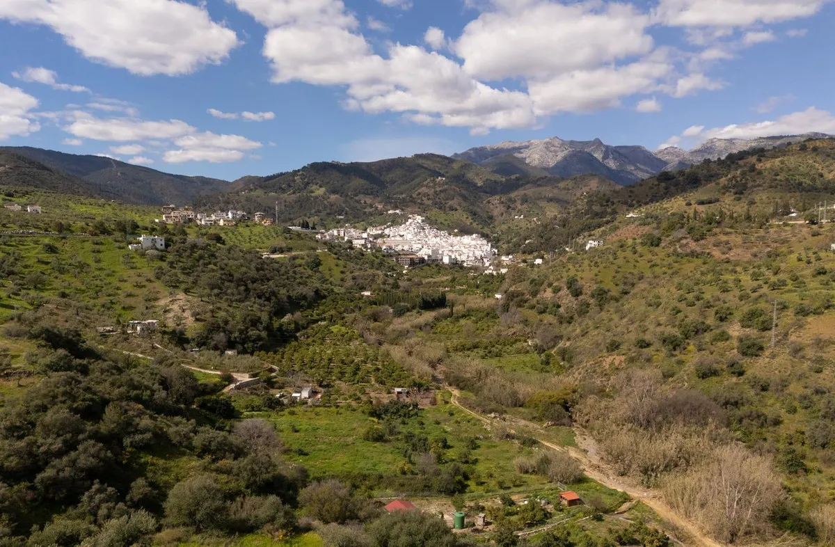 27e90175-98f6-4581-9303-d941ff5efff0