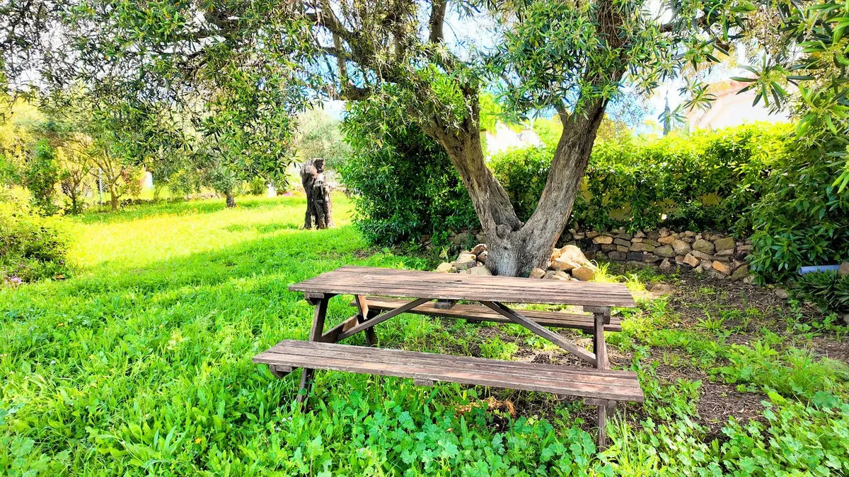 10233247-2f7a-42f1-9ffe-a48972197c08