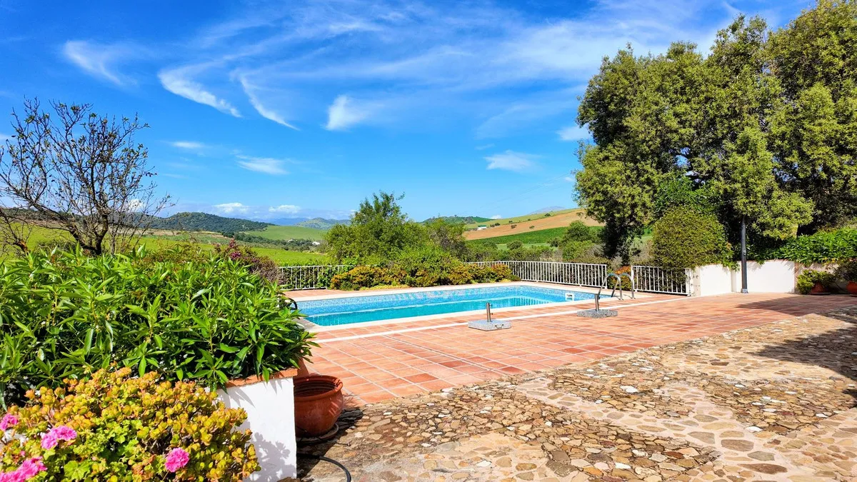 4817f429-8188-4f5e-ae5d-af26545450fa