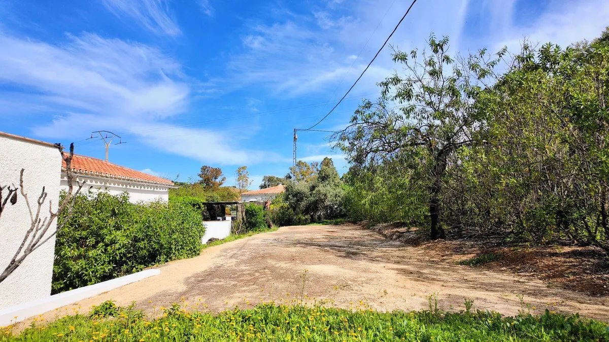 d6582fcc-75bf-4a0f-99c2-17567122edf6