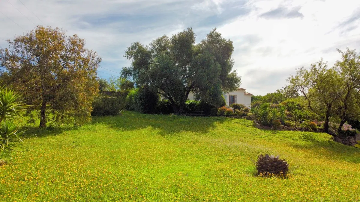 eb96ff0c-4d35-4c07-b672-667a4bfeb054