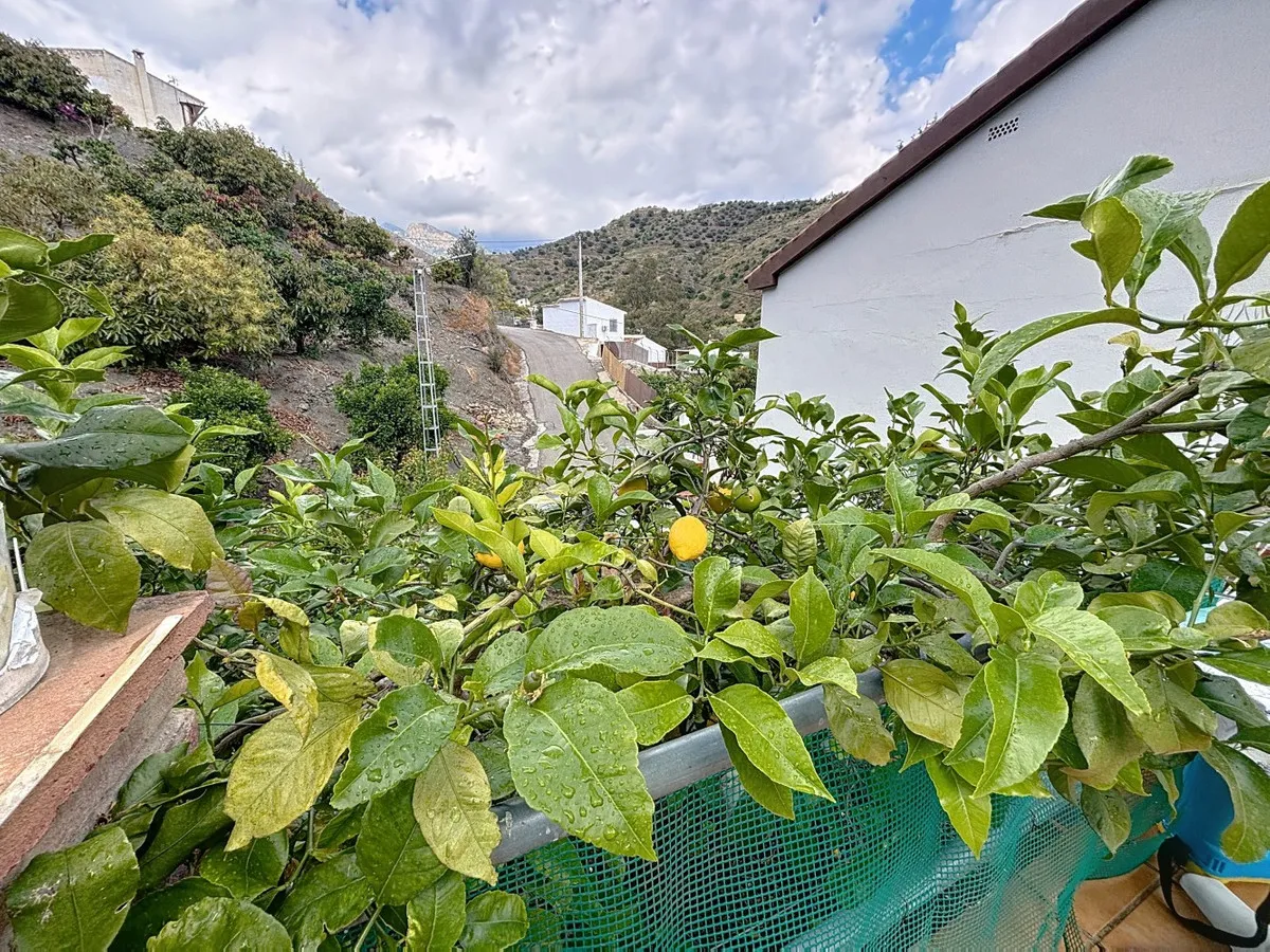 0e0fdc8d-0352-45f9-bcbe-21581d7854ec