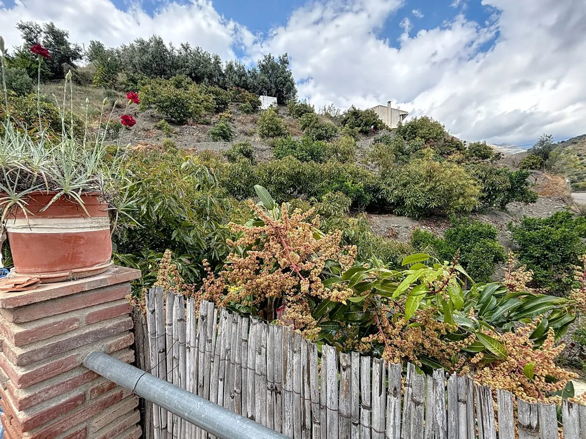 5861552b-f3cd-4033-977c-78d35a1a6471