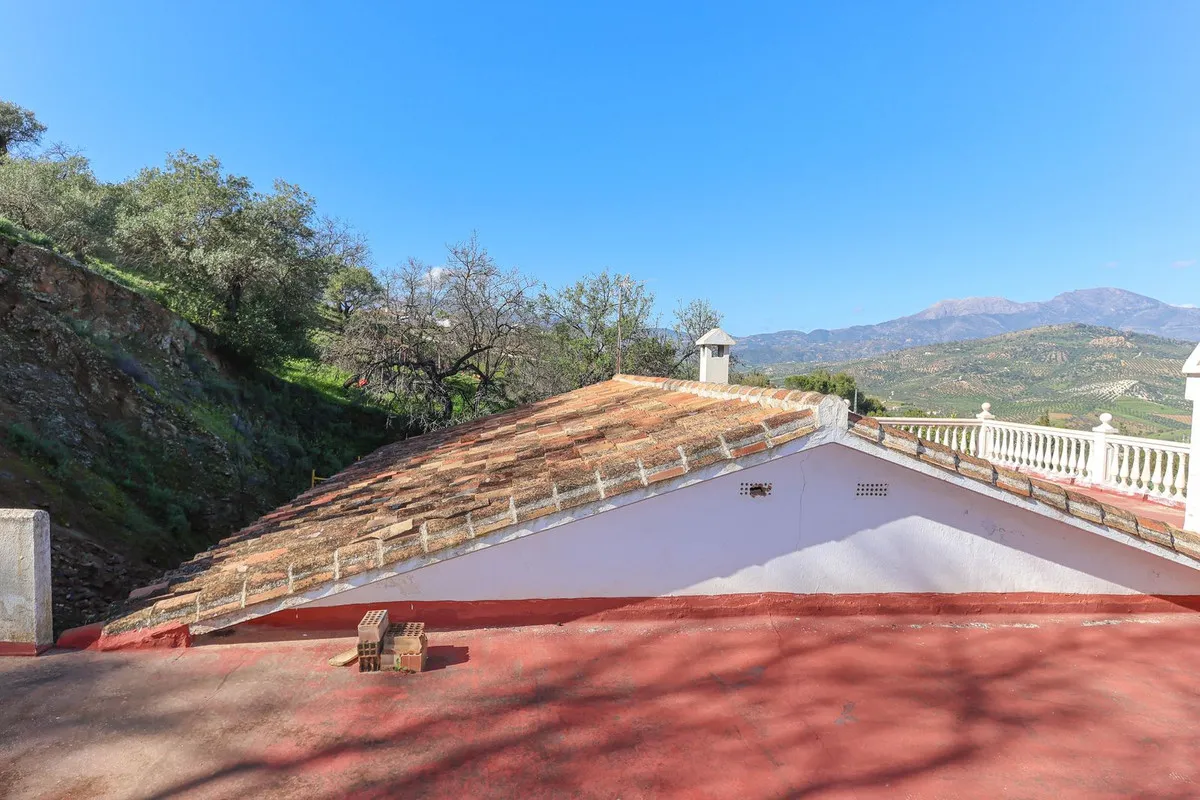 2ca93933-badc-4565-a447-fc51fa2ca92c