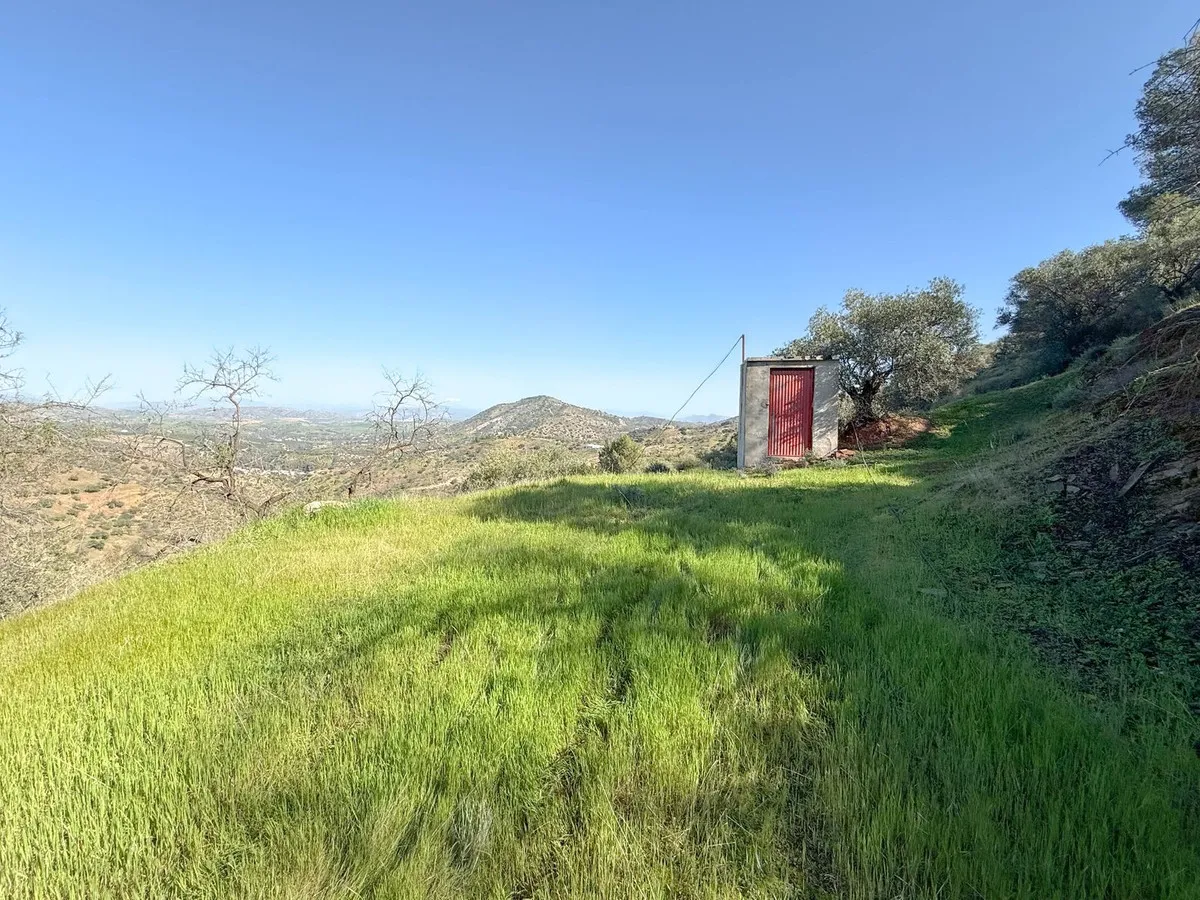 582b5773-481c-43db-a060-72bffb931552