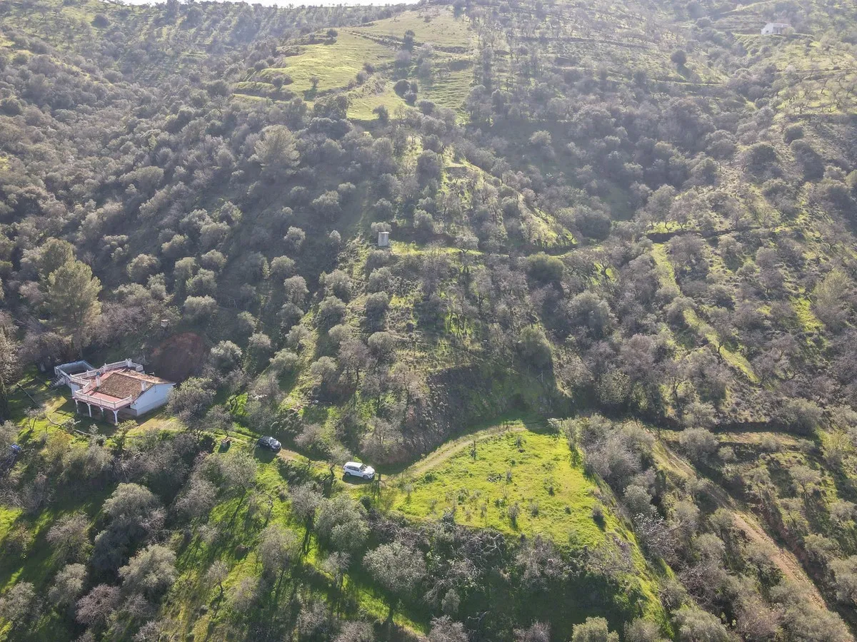 bdba09a4-9951-425a-9da5-a51b70d50d59