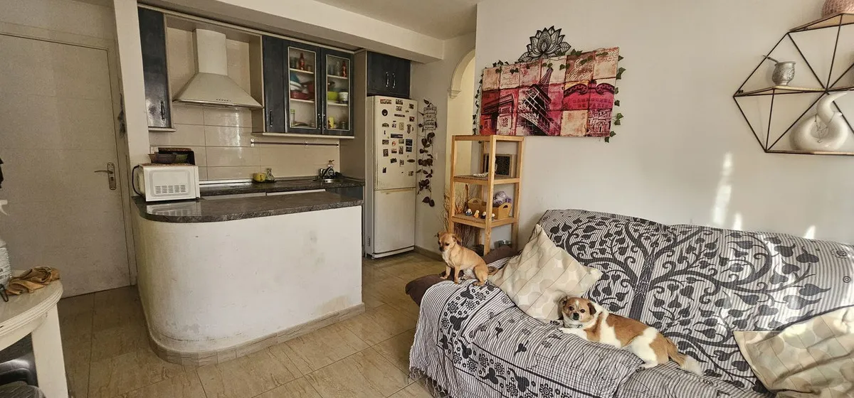 545e532d-7a82-4ce0-aef6-39873395bc8e