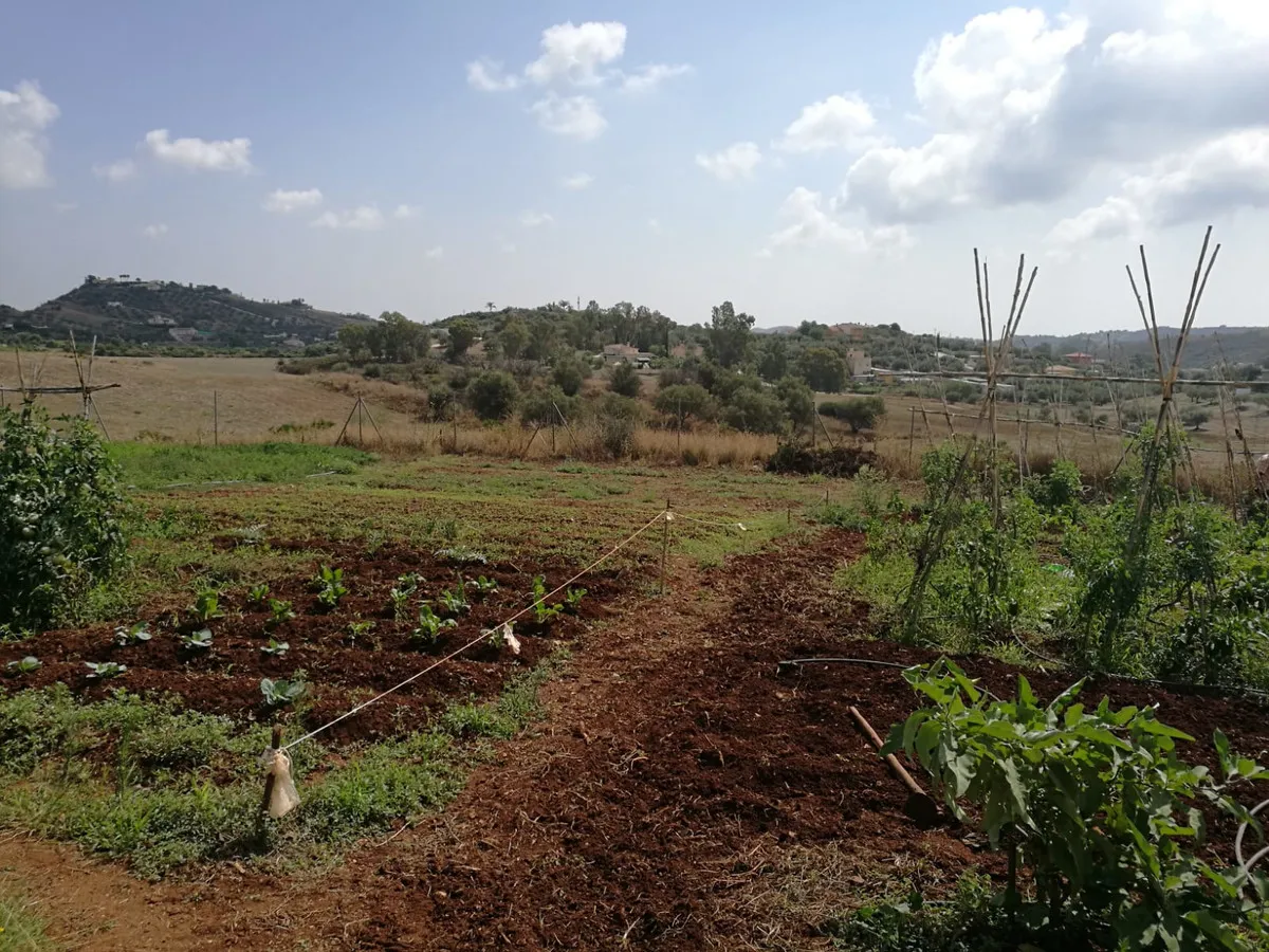 2b486adb-3b0a-4c0c-b75a-05e1a409add4