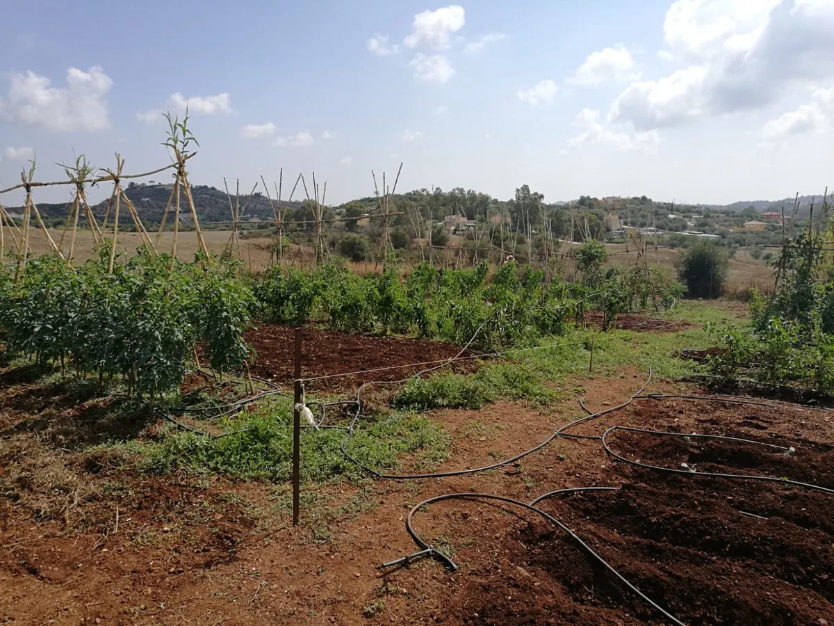 4ea2363e-395f-4f5d-ba18-e8183e2cfdf8