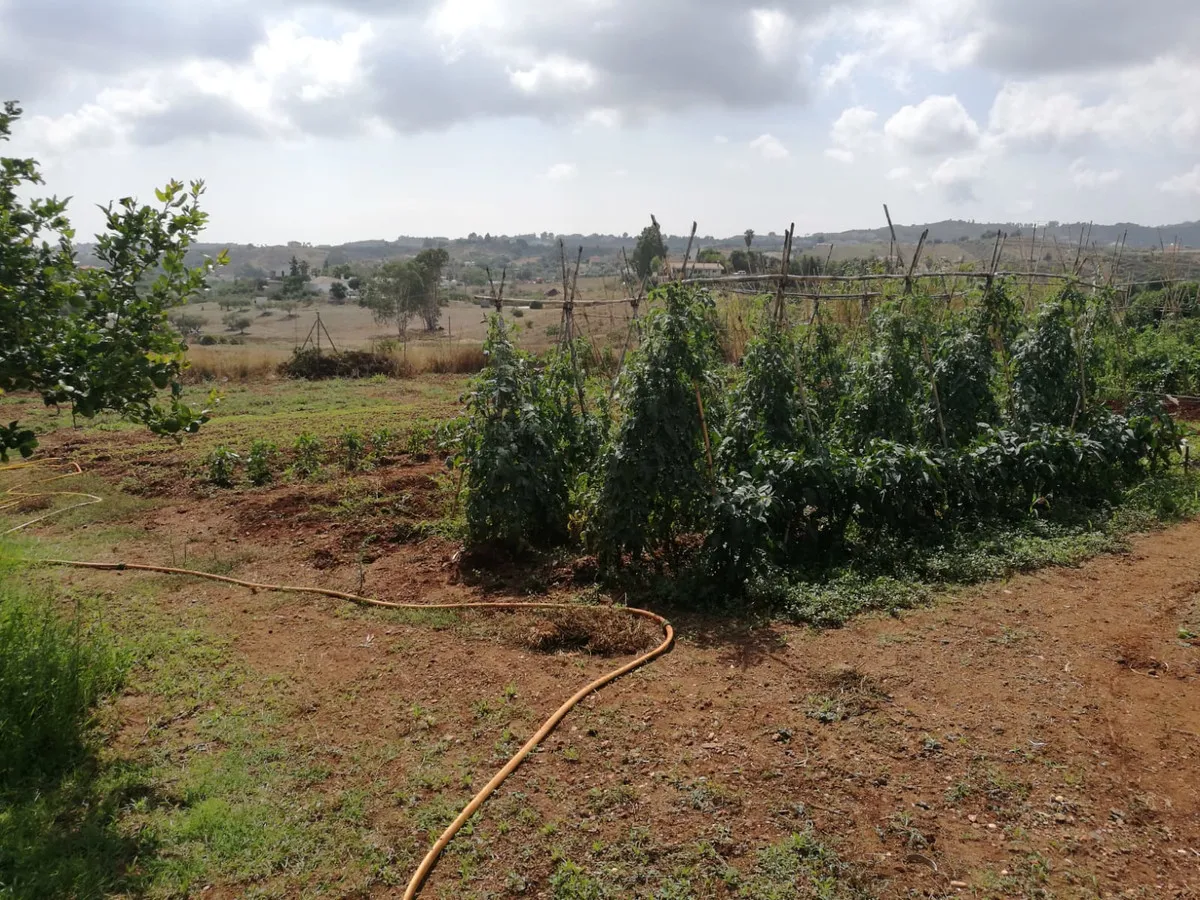 7d8e8da5-73de-487f-9c4f-60b1f76de772