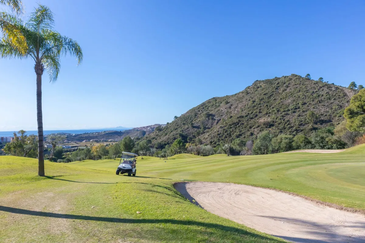 1fede095-b296-4c48-98f9-0855f0255e50