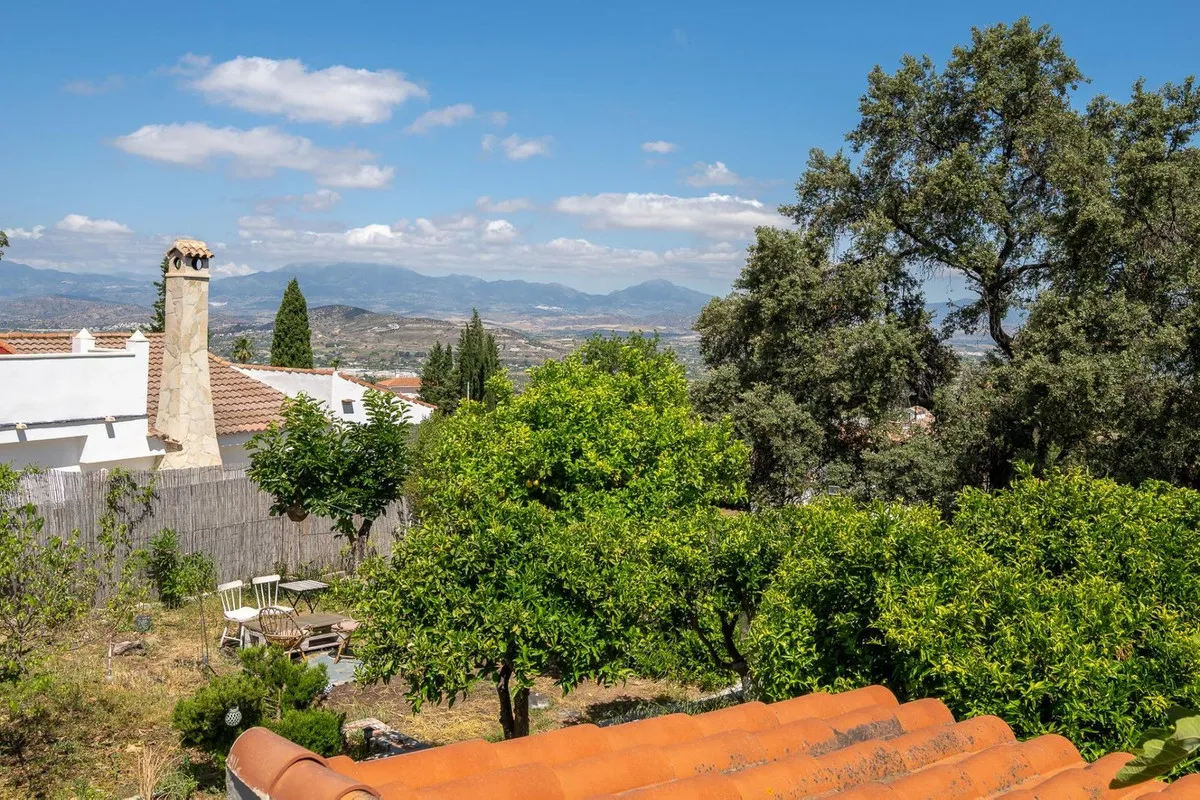 a3b699a8-0e59-4acd-8134-7b38375c0b82