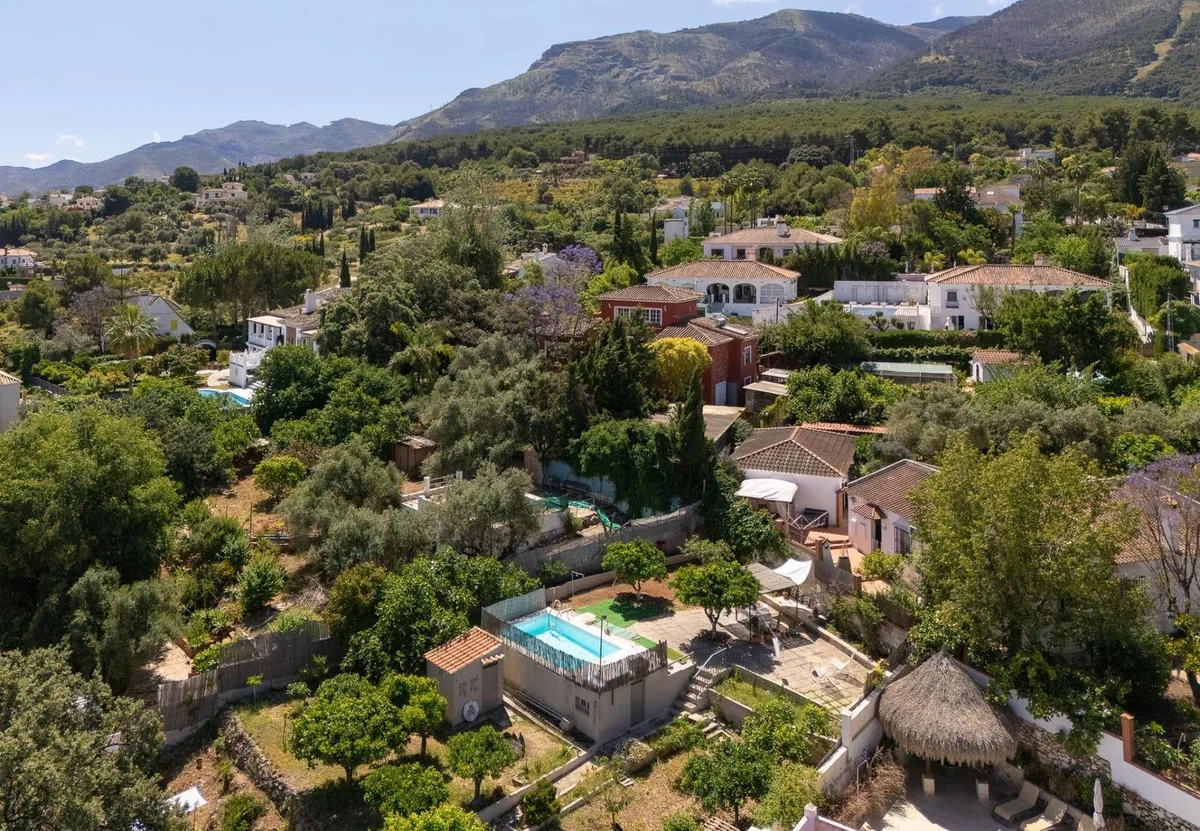 ab8458b8-9b00-4e15-a04e-410b91ed06af