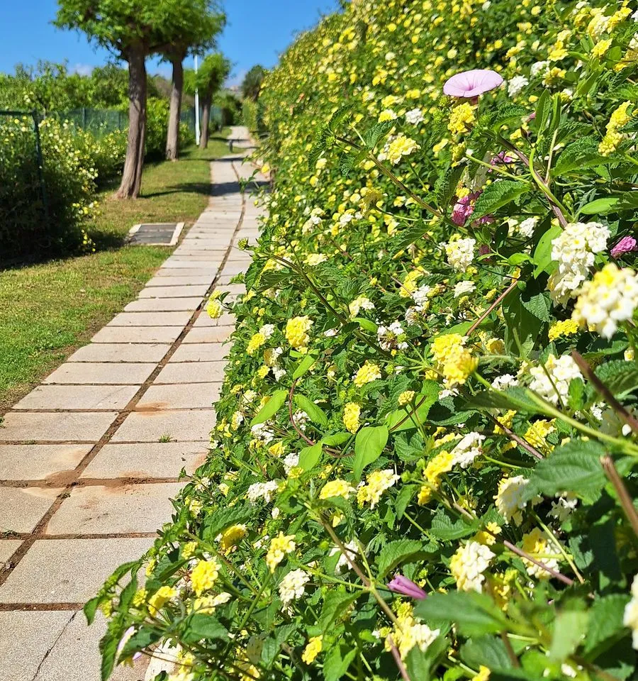 34cb82dc-9750-4e9d-b561-5b8c518234f5