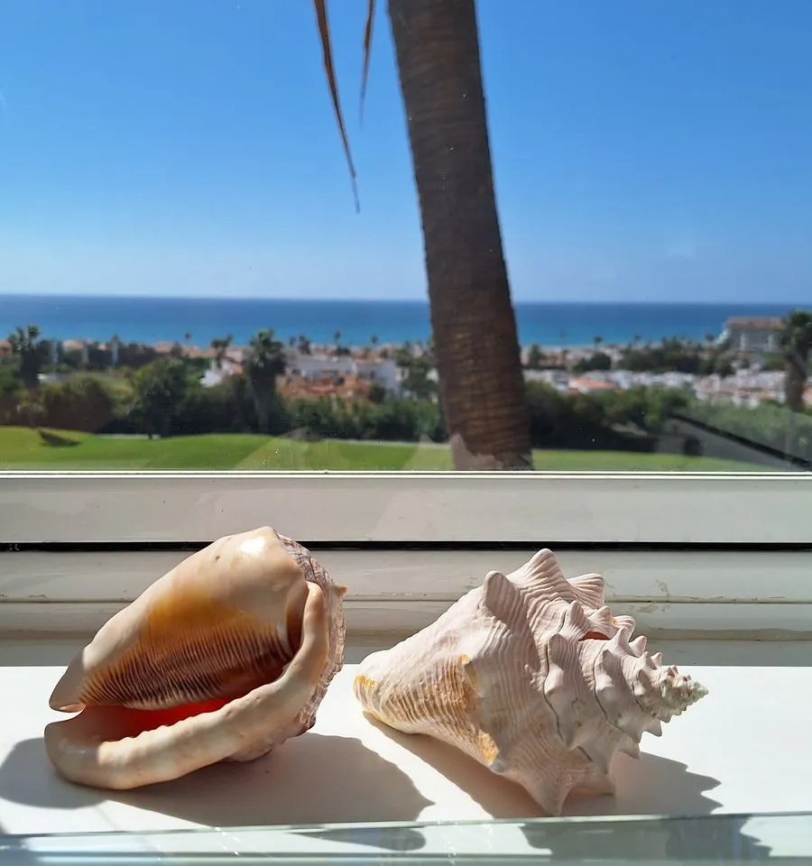 5de42bd9-cf47-42b1-ac66-b60aefeed109